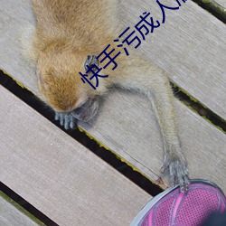 快手污成人版