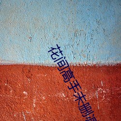 花(huā)间高手未删减版