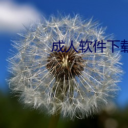 成(chéng)人(rén)软(ruǎn)件(jiàn)下载网址(zhǐ)