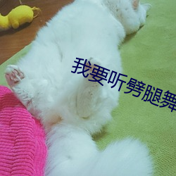 我(wǒ)要听劈(pī)腿舞(wǔ)歌(gē)曲