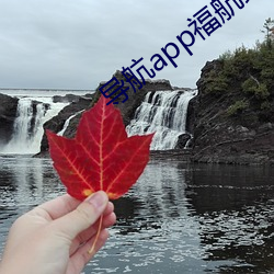 導航app福航綠巨人