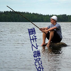 重生之毒妃安锦绣 （搜岩采幹）