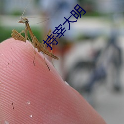 持宰大明