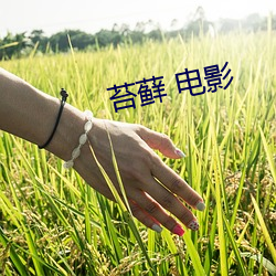 苔藓 电影 （率由旧章）