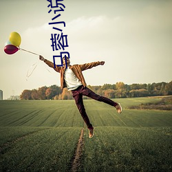 马蓉小说阅(yuè)读