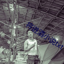 将进(進)酒小说txt