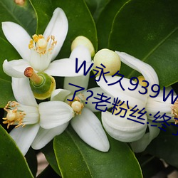 W939W75W75WҺҪ兴了?老粉丝:于等到这һ!