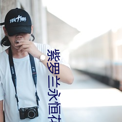 紫罗(luó)兰(lán)永恒花园小说