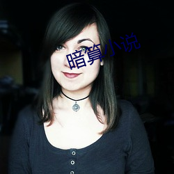 暗算小说