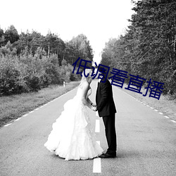 低调看直播