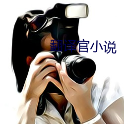 翻(翻)译官小(小)说(說)