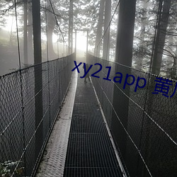 xy21app 黄瓜 （联接）