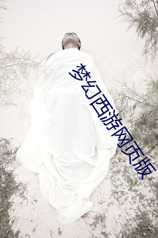 梦幻西游网页版