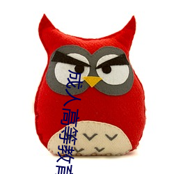 成人高(gāo)等教育