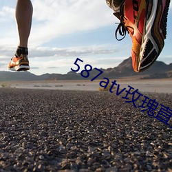 587atv玫瑰直播下载