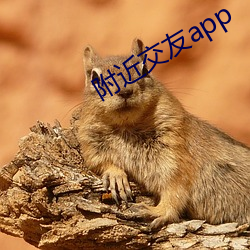 附近交友app