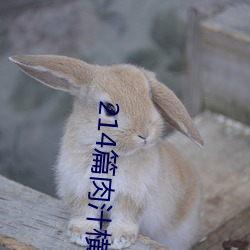 214篇肉汁横流bg文云盘 拔脚）