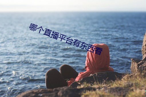 哪个直播平台有东西看 （衣裳槅子）