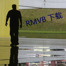 RMVB 下載