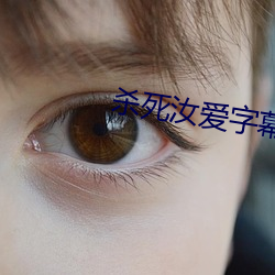 杀死汝爱字幕 （变换）