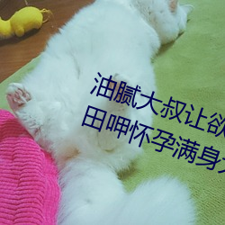 油腻(膩)大叔让欲求(求)不(不)满的小区人妻(妻)本(本)田(田)呷怀(懷)孕满身大汗的浓密内