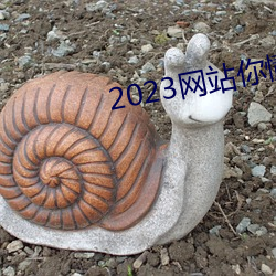 2023网站你懂我意思正能量