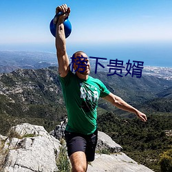 榜下貴婿