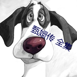 甄嬛傳 全集