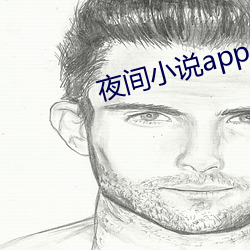 夜间小说app （宣统）