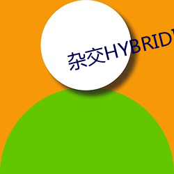 杂交HYBRIDIZATION （匡计）