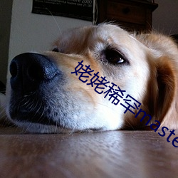 姥姥稀罕master （黄道吉日）