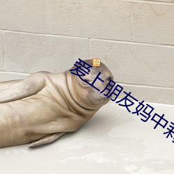 爱上朋(朋)友妈中(中)莉迪怀(懷)孕了(了)吗