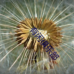 有閑俱樂部