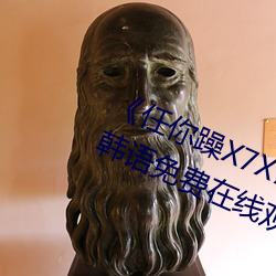 《任你躁X7X7X7X7在线观看》BD韩语免费在线观看