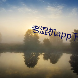 老湿机app下载