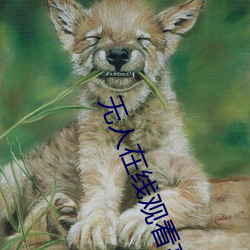 无人在线观看高清完整免费