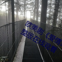 欧(歐)美剧《爱情岛(島)论坛hd高清(清)》免费(費)完整(整)版在线观看