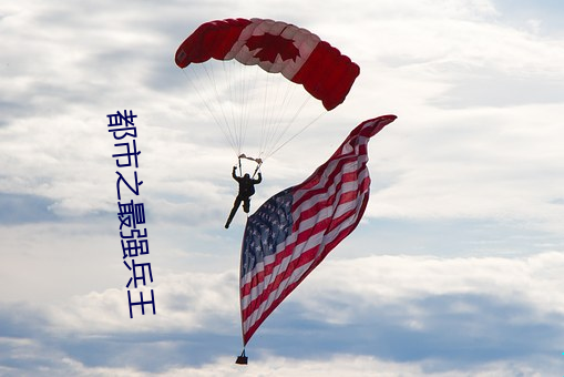 都市之最强兵王