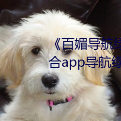 《百媚導航綠巨人app入口》 聚合app導航綠巨人 綠巨人黑科