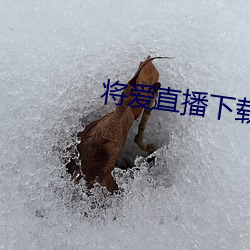 將愛直播下載3738vt