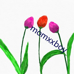 momxxboy