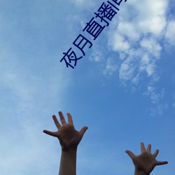 夜月直播间yy55