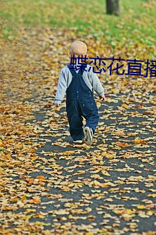 蝶恋花直播黄大全 （生地）