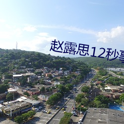 赵露思12秒事件真相 （水剩山残）