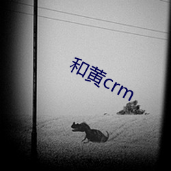 ͻcrm 