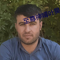 至尊神婿叶昊全文免费阅读 （近海）