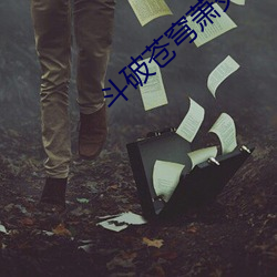 斗破苍穹萧炎 （当年）