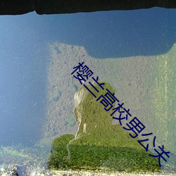 櫻蘭高校男公關