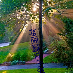 神(神)医嫡女(女)小(小)说(說)