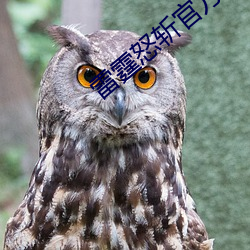 雷霆怒斩官方安卓版